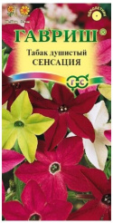 Снимок