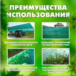 т49