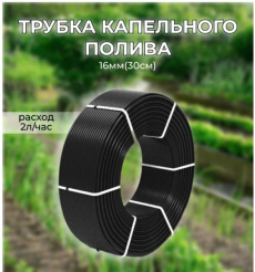 т37