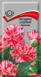 Снимок