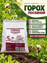 Горох