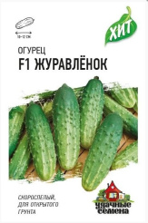 Снимок