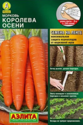 Снимок