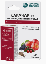 Снимок экрана 2025-03-15 104949