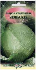 Снимок