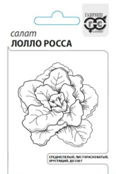 Снимок