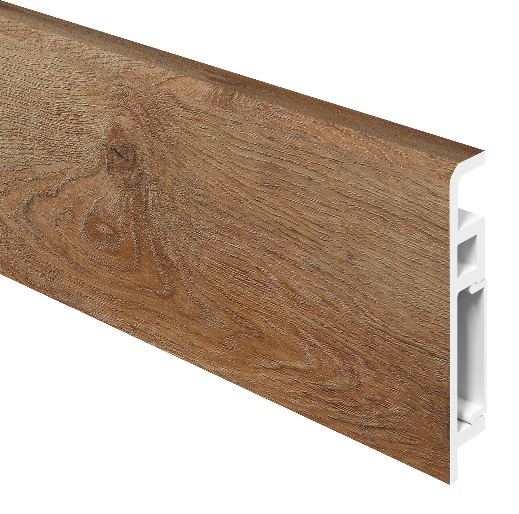 56ade240-c499-4eef-9c0b-a72e0d075024Дуб Рыцарский_01