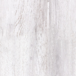 zoom-800x800 (1)