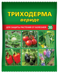Снимок