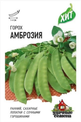Снимок