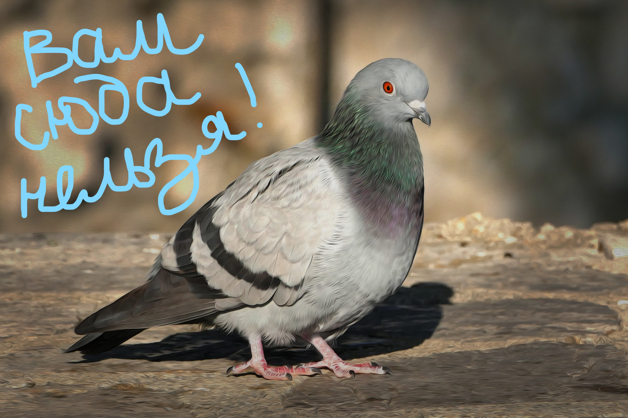 Inked1696552207_gas-kvas-com-p-kartinki-golubok-11_LI