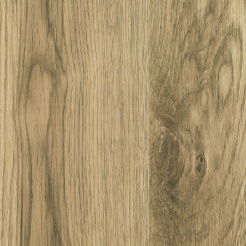 zoom-800x800